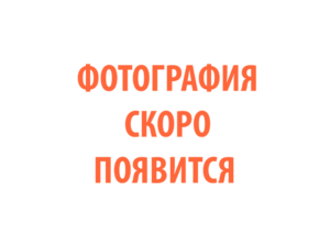 Фото 91 - Горелка TECH TS 9.